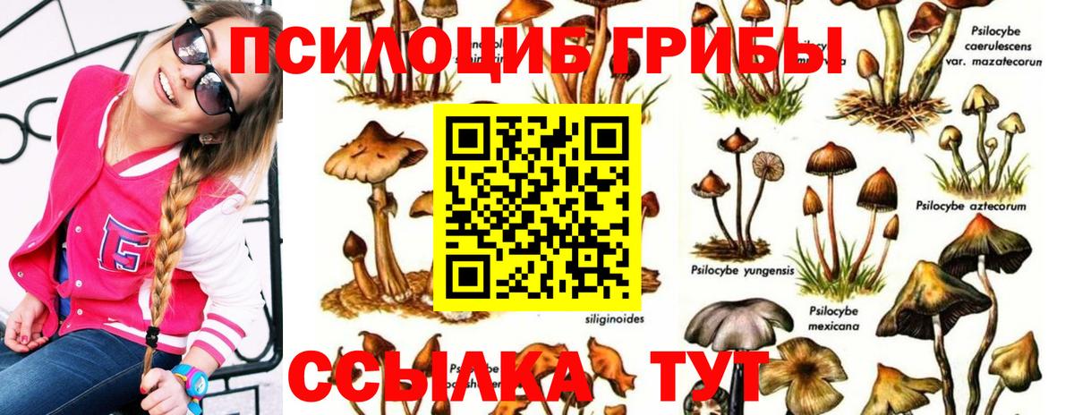 Псилоцибиновые грибы GOLDEN TEACHER Феодосия